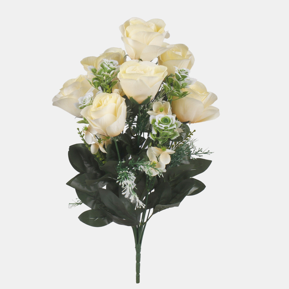 Rose x7, Mix 1 QA284-01