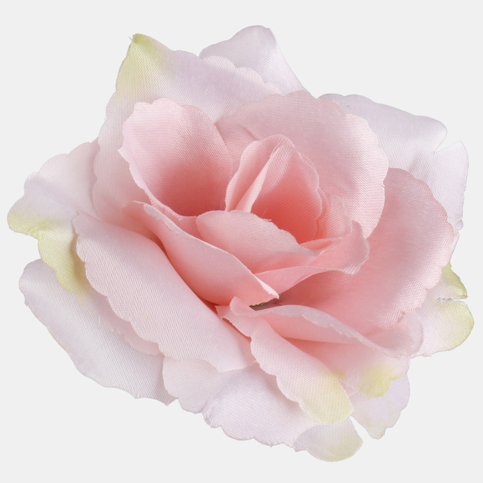 Róża, Pink/Lt. Green Edge W529-17