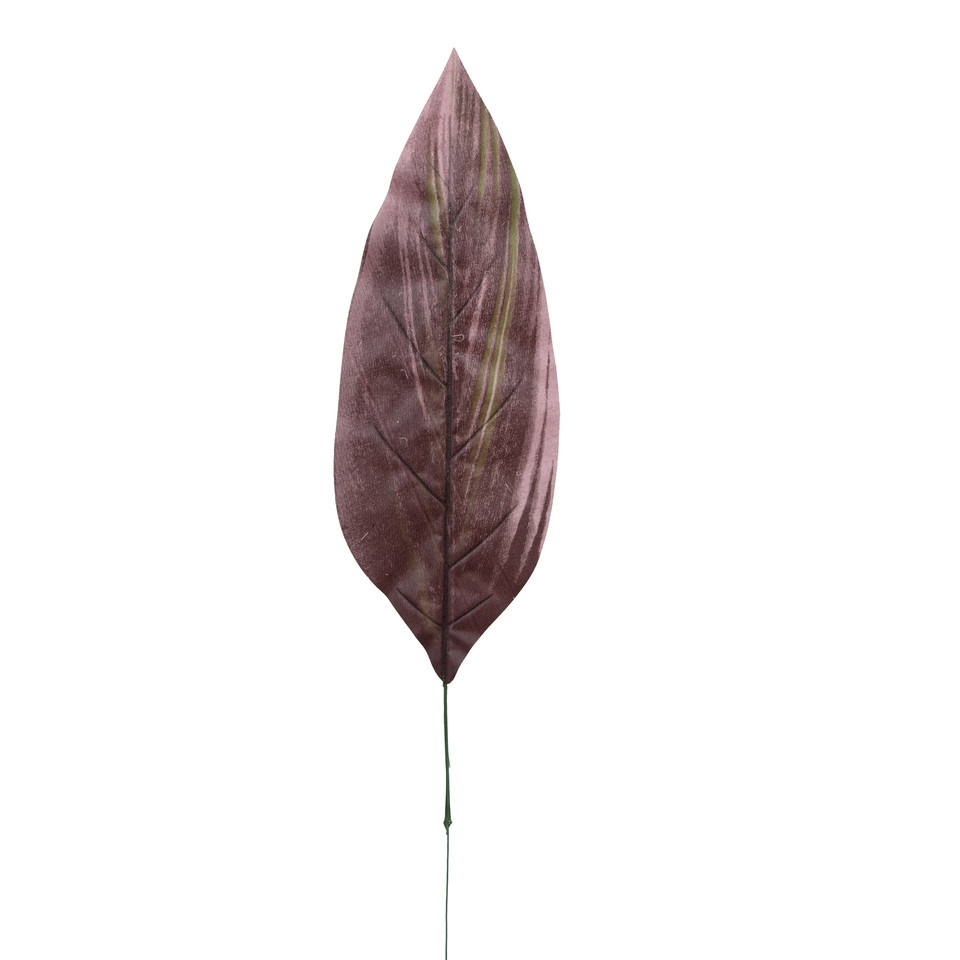 Kordylina - liść 64 cm L563-00