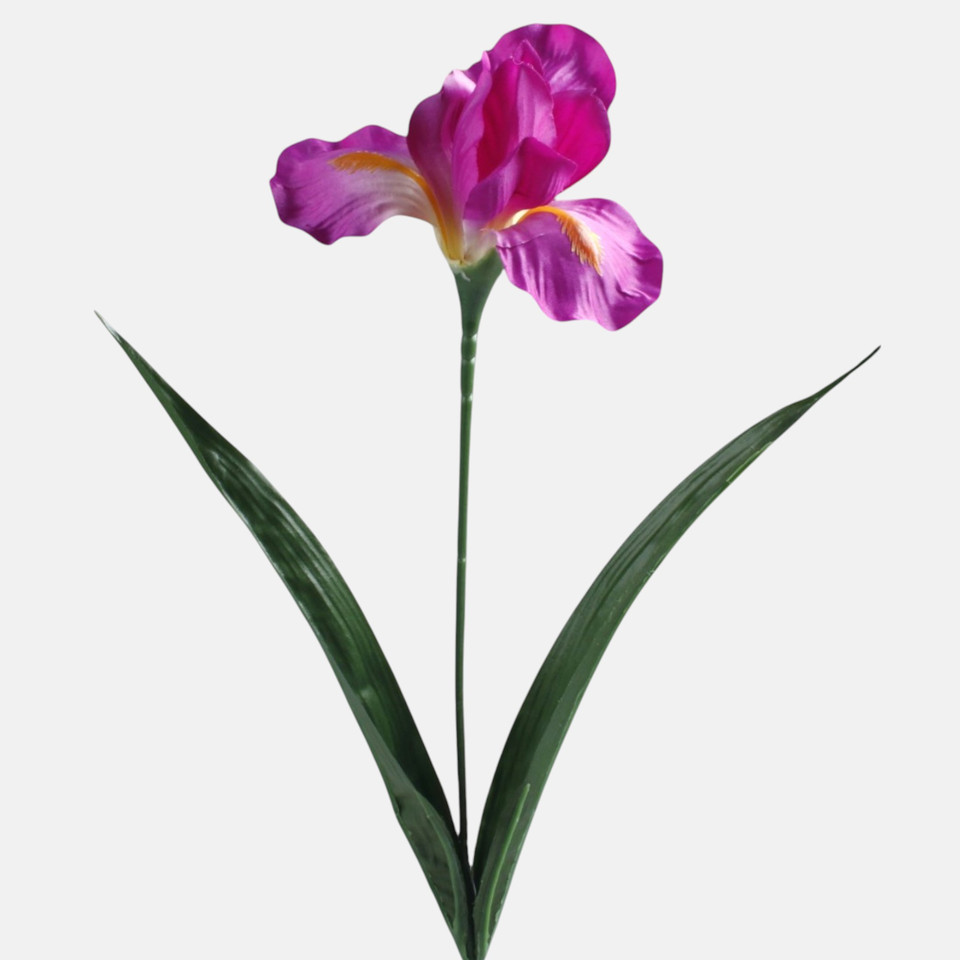 Irys, Purple G142-04