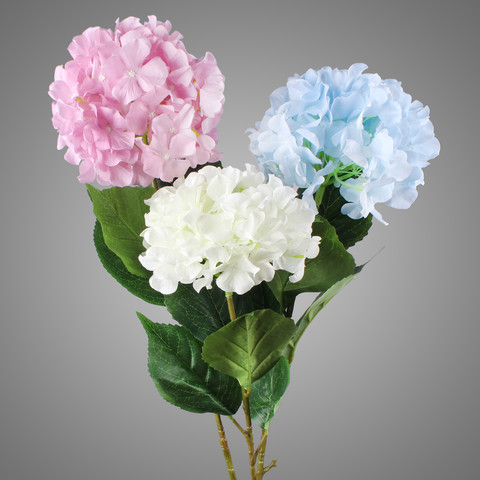 Hydrangea, Lt. Blue L877-03