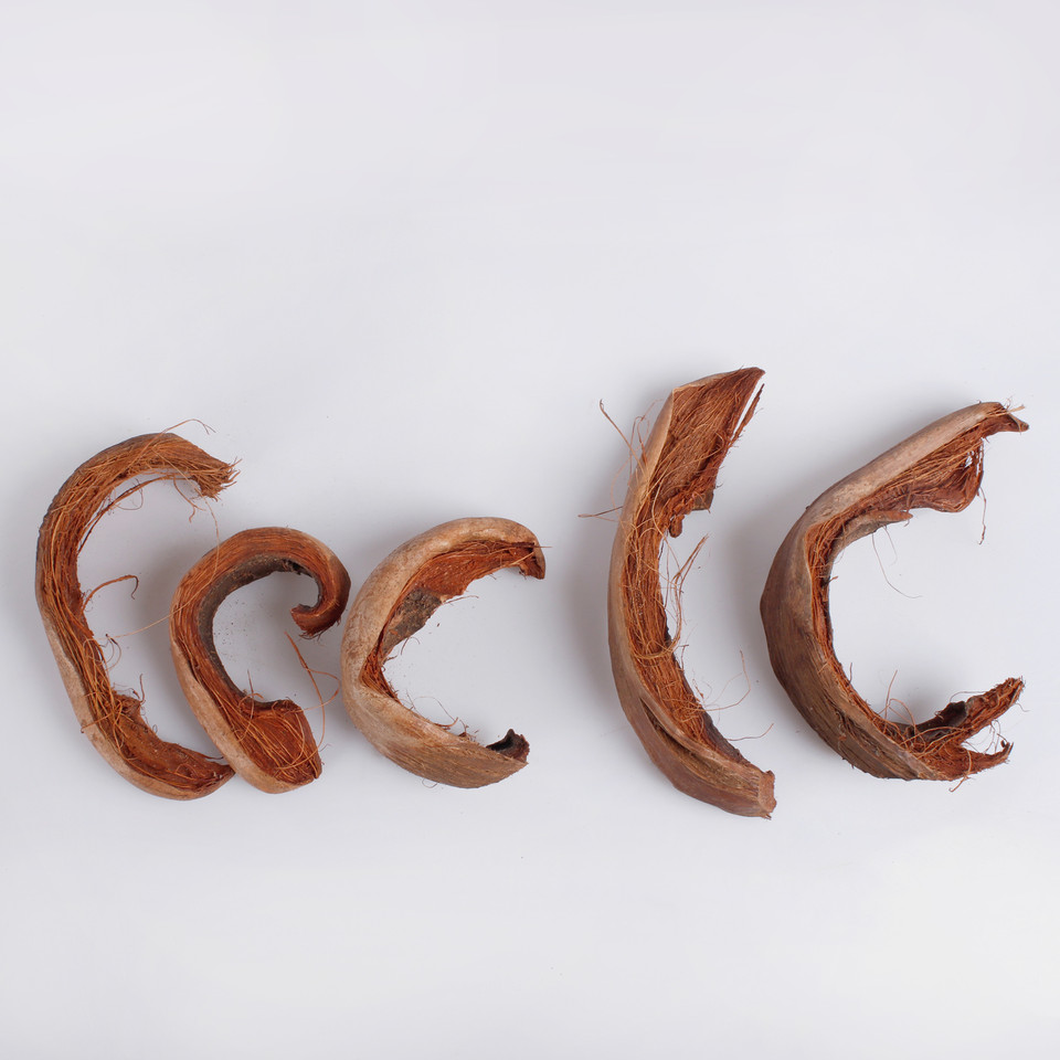 Kokos cięty 250 g Y596
