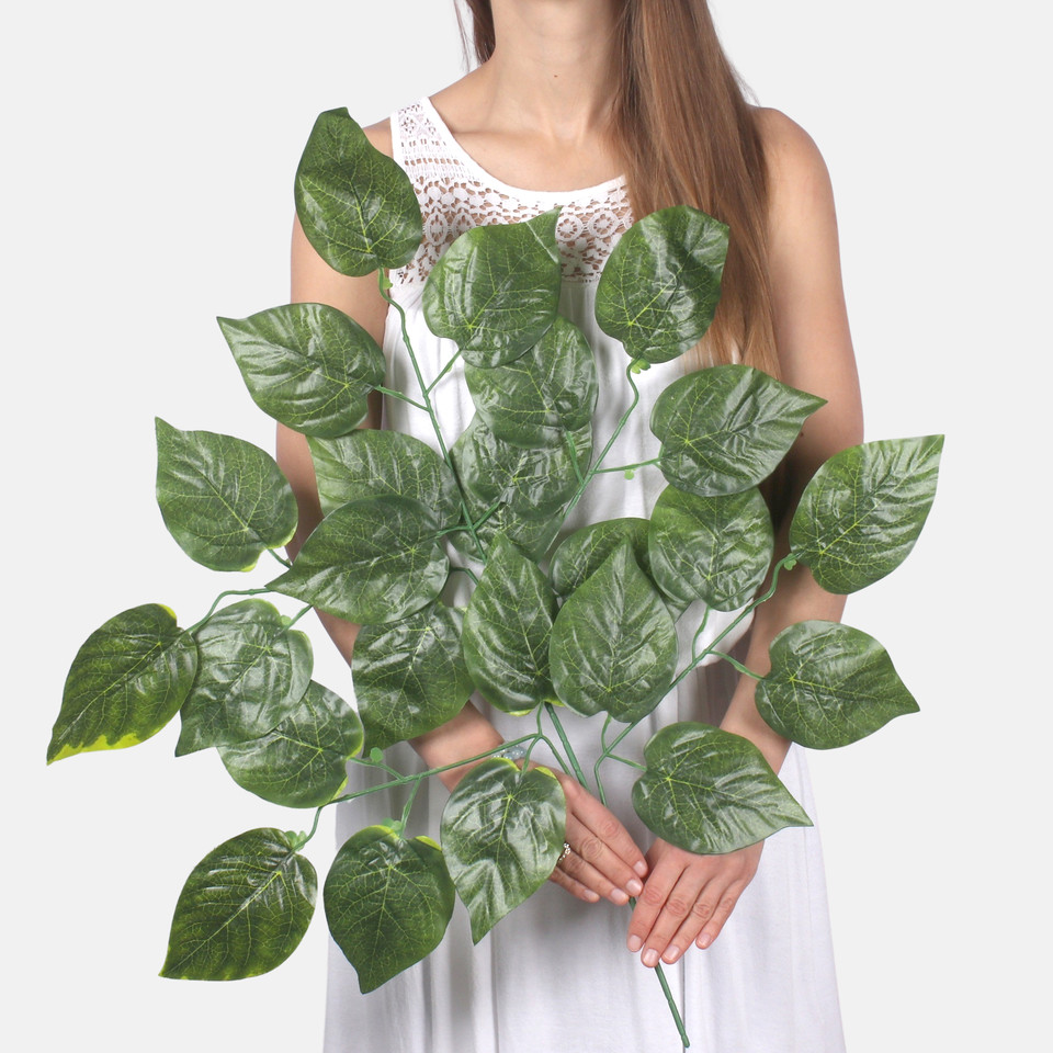Poplar F182
