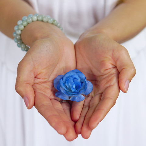 Rose W303 (Product size)