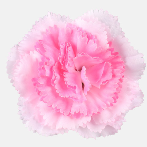 Carnation, Pink W680-12