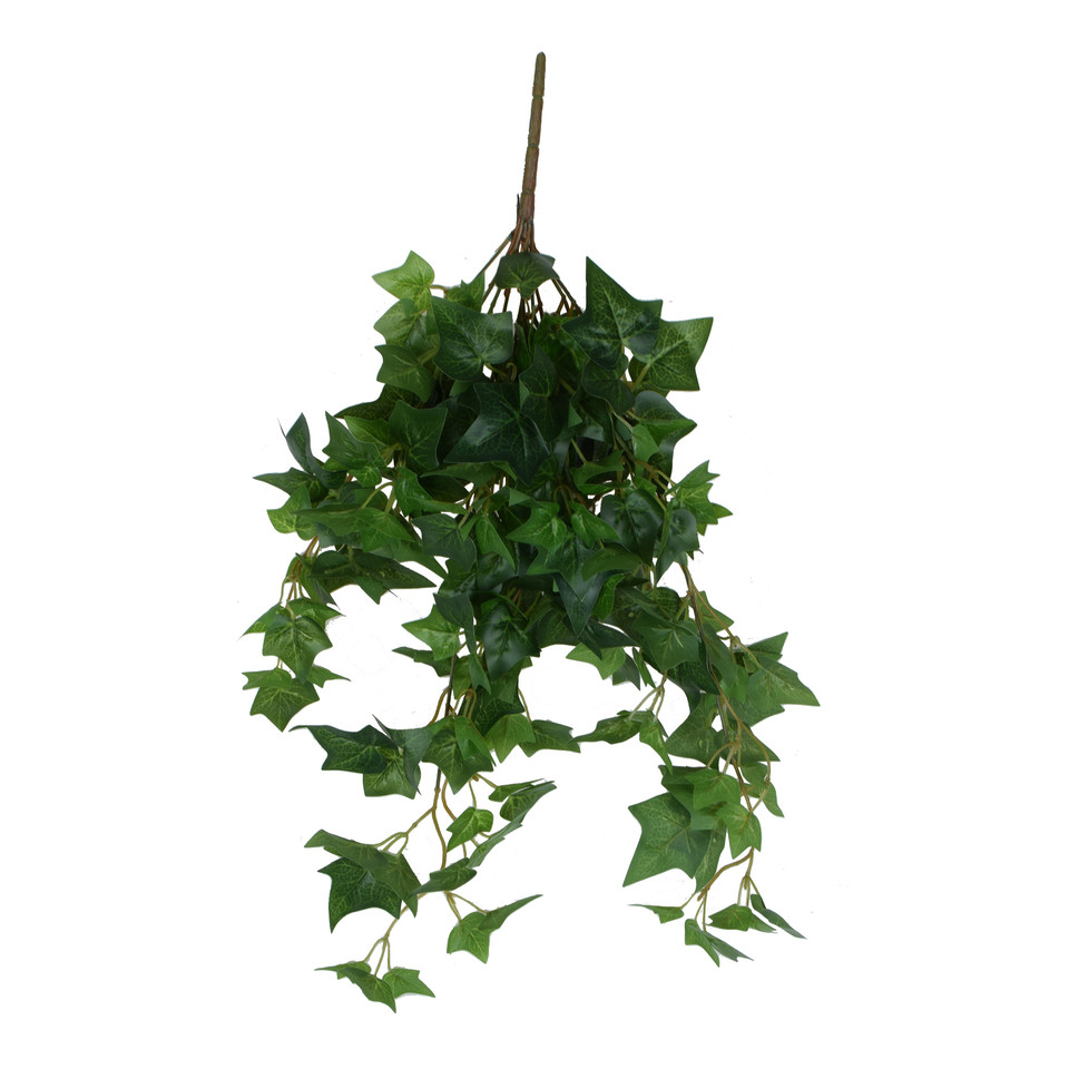 Bluszcz - zwis 60 cm, green B201-00