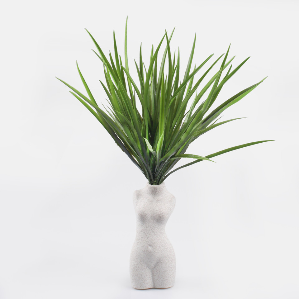 Dracaena, Green Z230-01