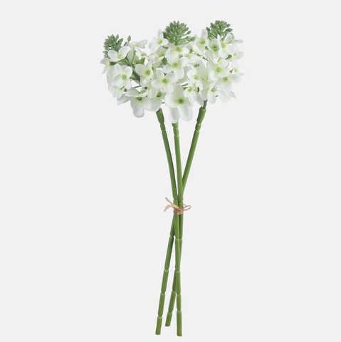 Tuberoza x 3 bukiet, Cream QA362-01