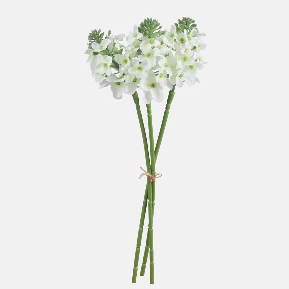 Tuberoza x 3 bukiet, Cream QA362-01