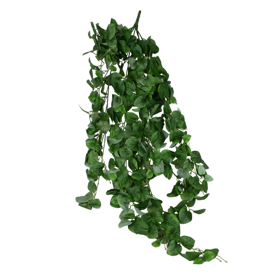Pothos - zwis 125 cm B236-00
