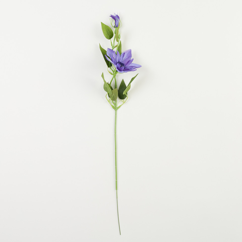 Powojnik – gałązka, A dk.violet B15-11A