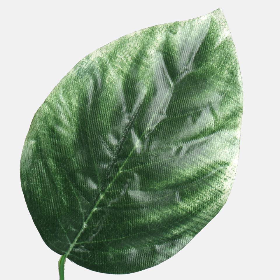 Linden, Green/Cream Edge F235-01