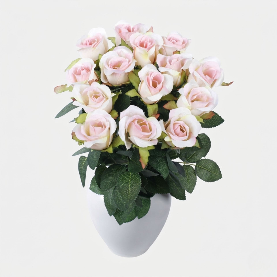 Rose x 14, Cream/Pink QA245-07