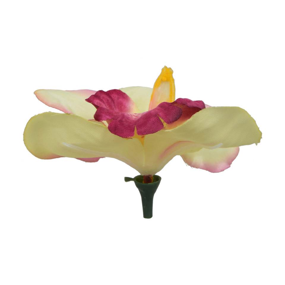 Storczyk - główka 12 cm, mint/purple W015-29