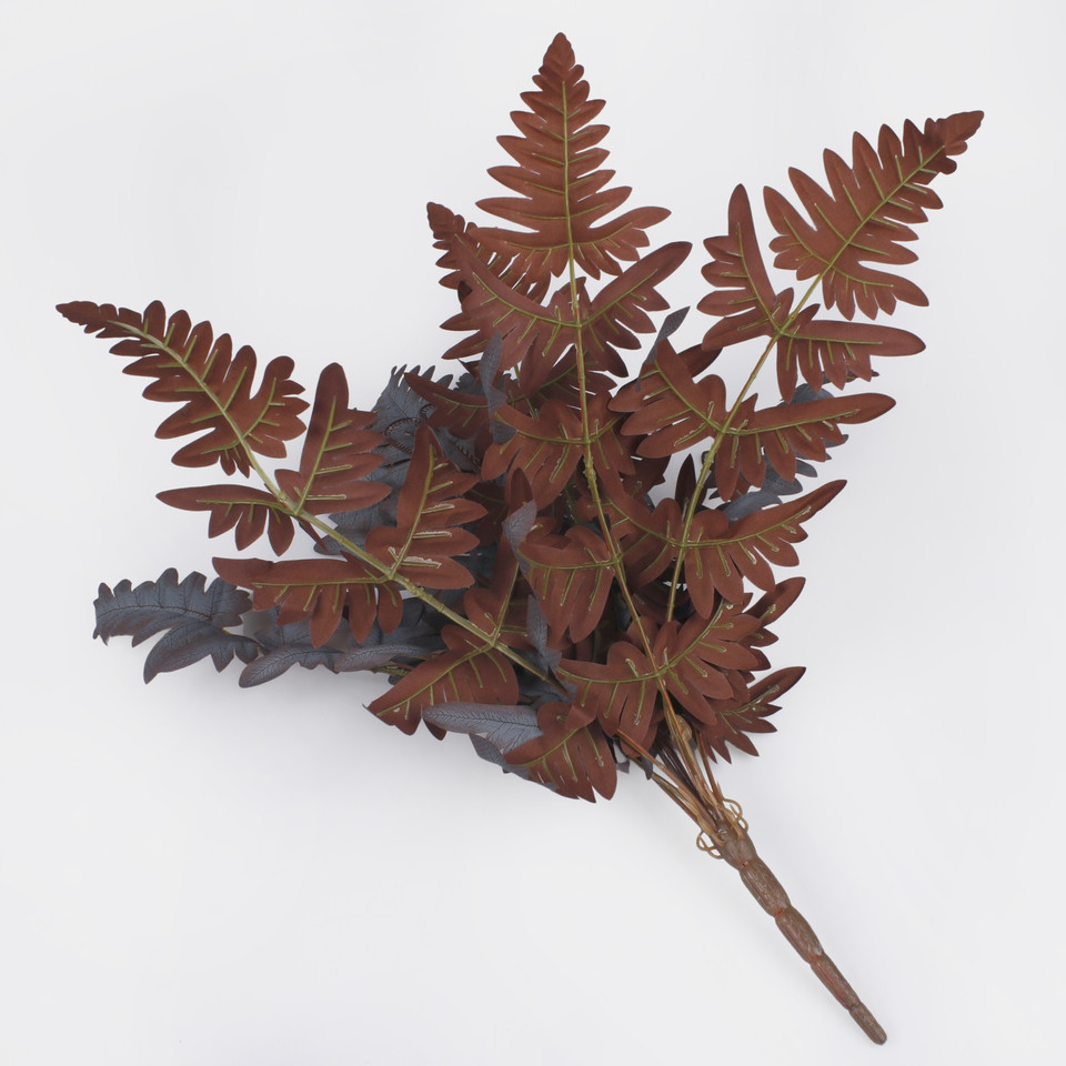 Fern, Burgundy Z180K-03