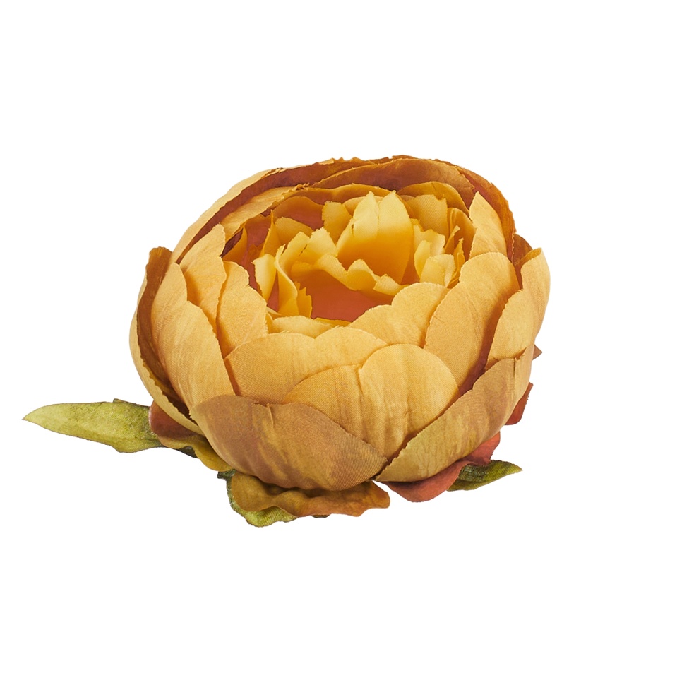 Peonia – główka, 13 B39-13A
