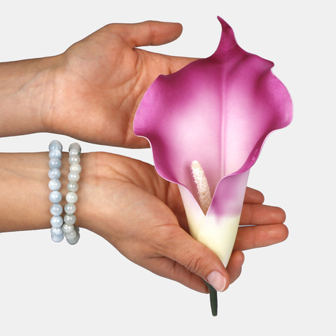 Calla W713 (Product size)