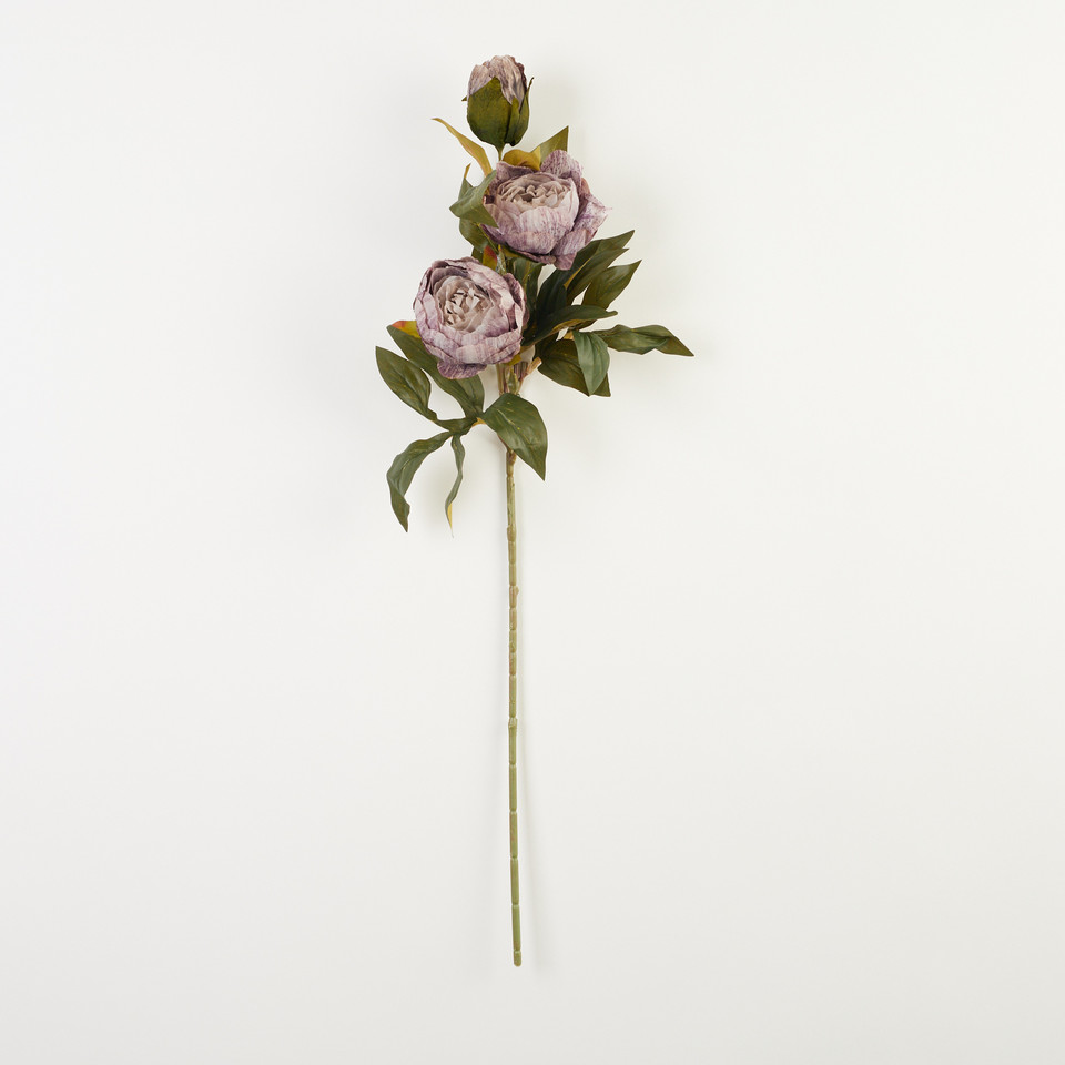 Peonia – gałązka x3, 34 B38-34