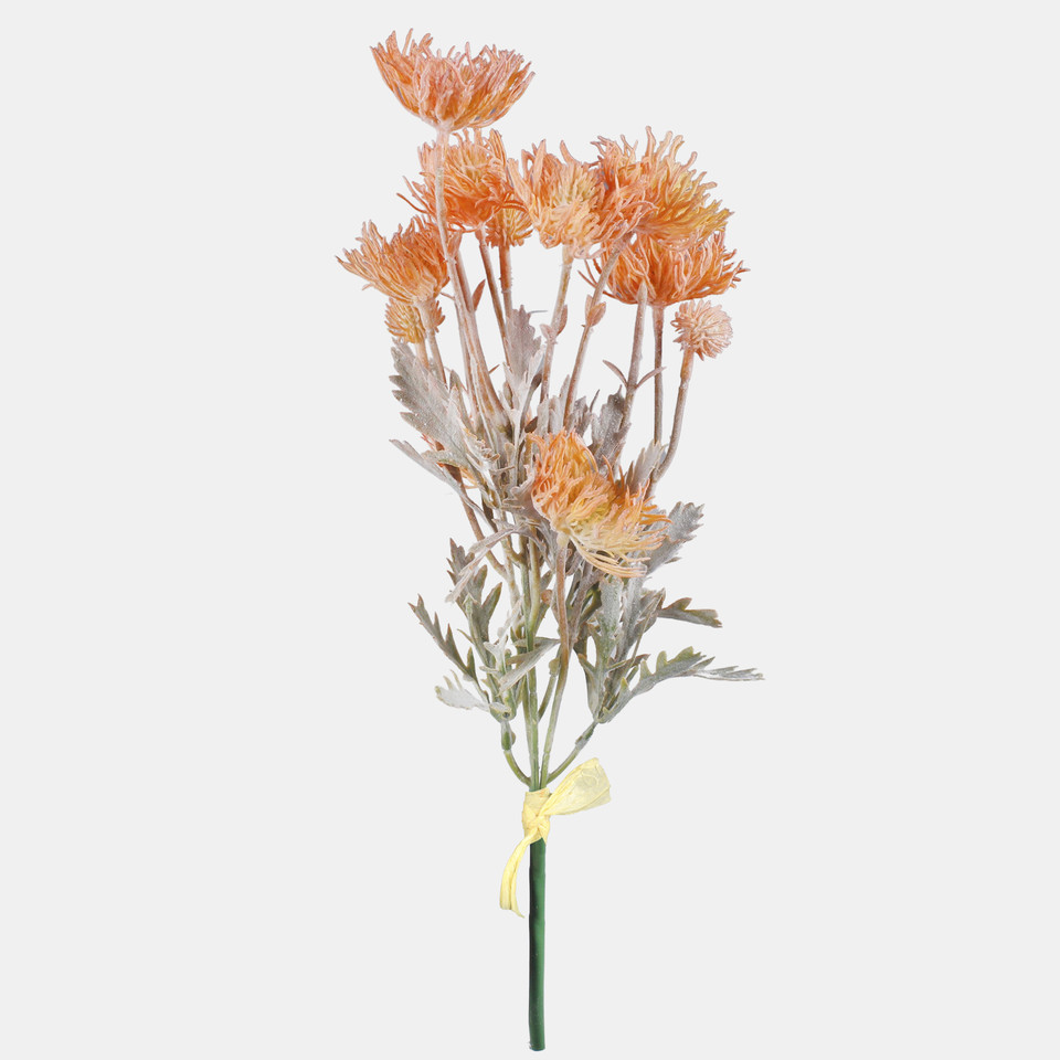 Thistle, Lt. Orange QA301-05