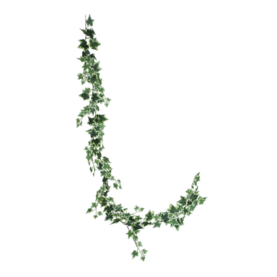 Bluszcz - girlanda 180 cm, Green B062-00