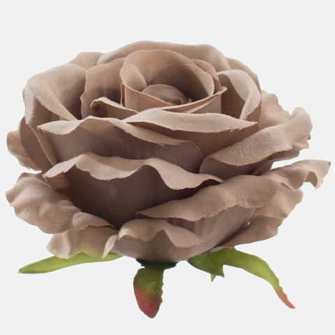 Rose, Lt. Gray/Green Edge W697-10