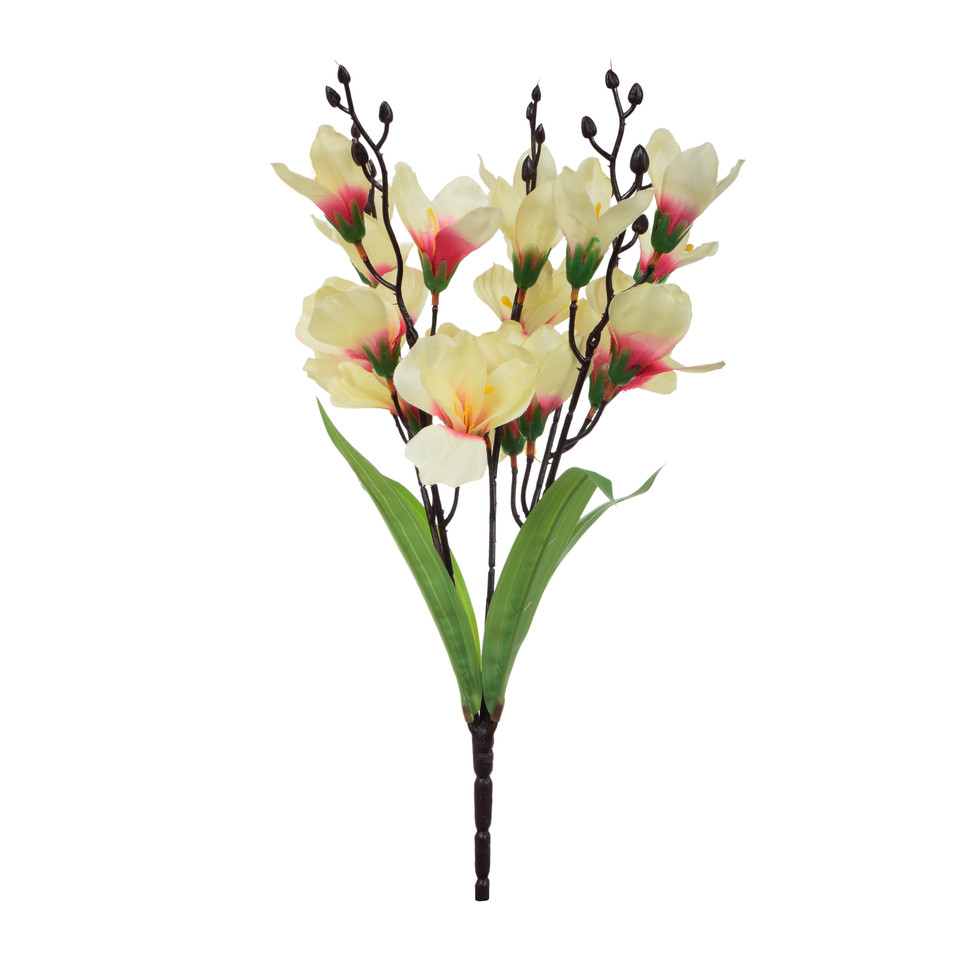 Mieczyk - bukiet 44cm, m U651-m