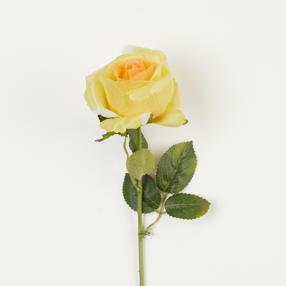 Róża – gałązka, yellow/coral B08-228