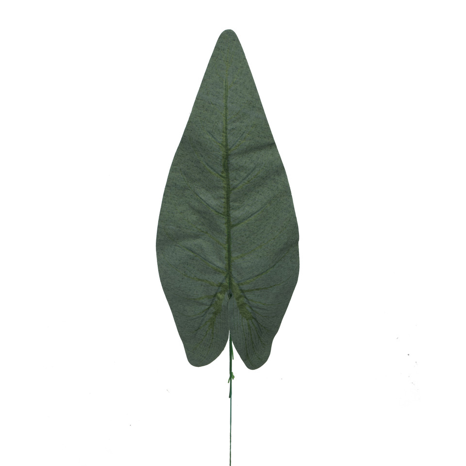 Liść anturium, Green L523-00