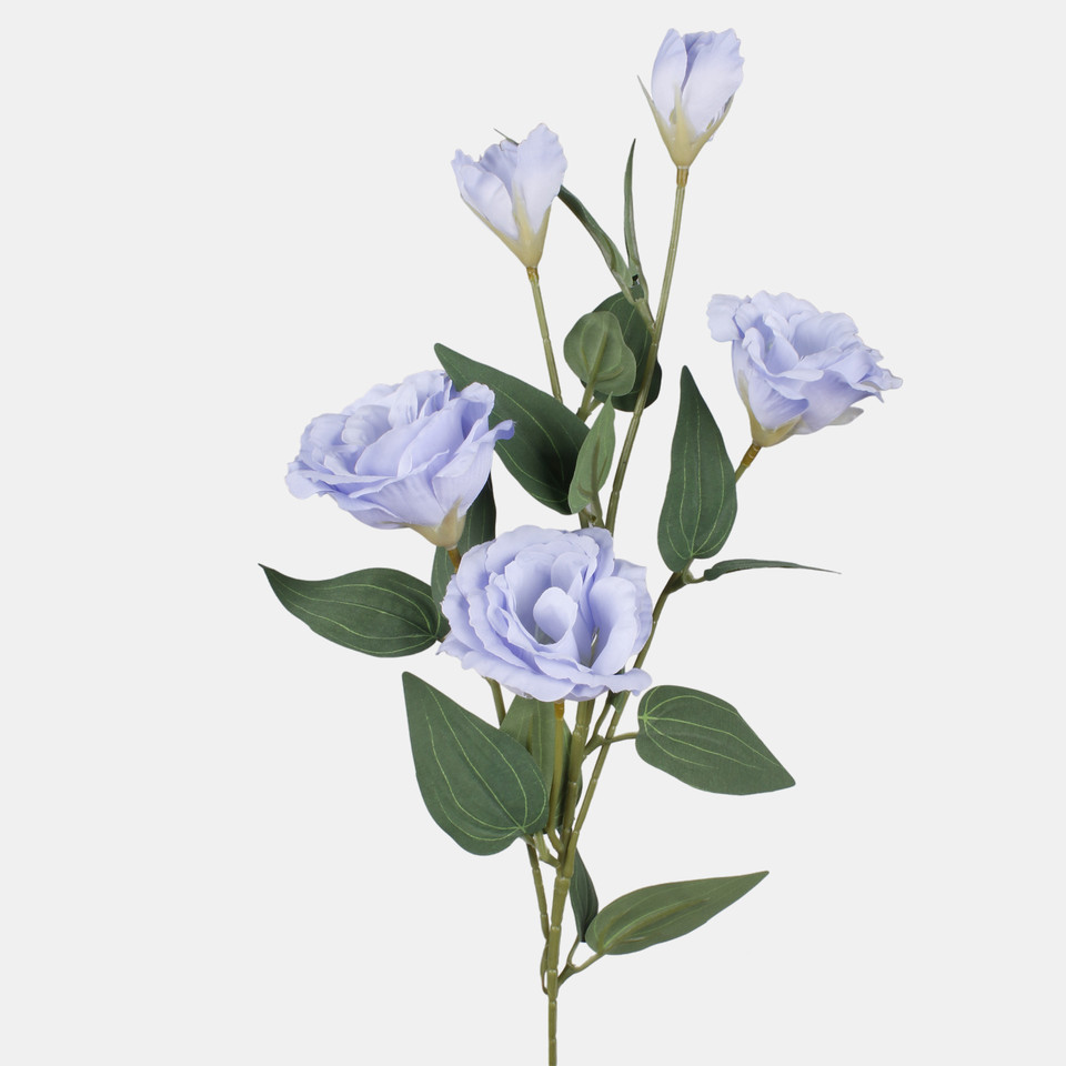Eustoma, Blue L872-07