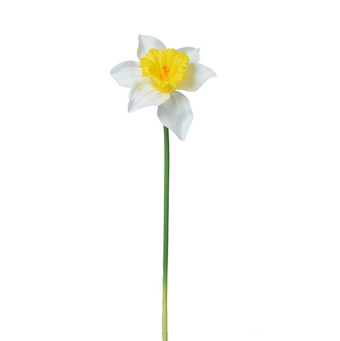 Żonkil - gałązka 39 cm, m K550E-m