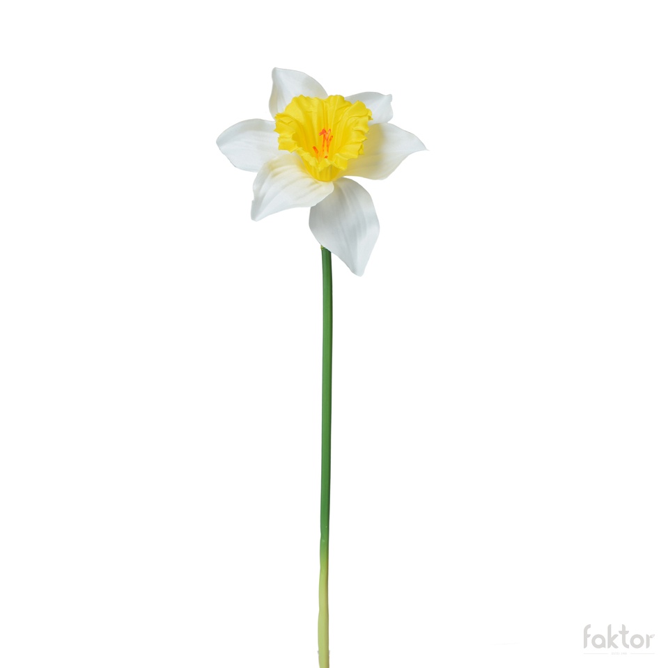 Żonkil - gałązka 39 cm, m K550E-m