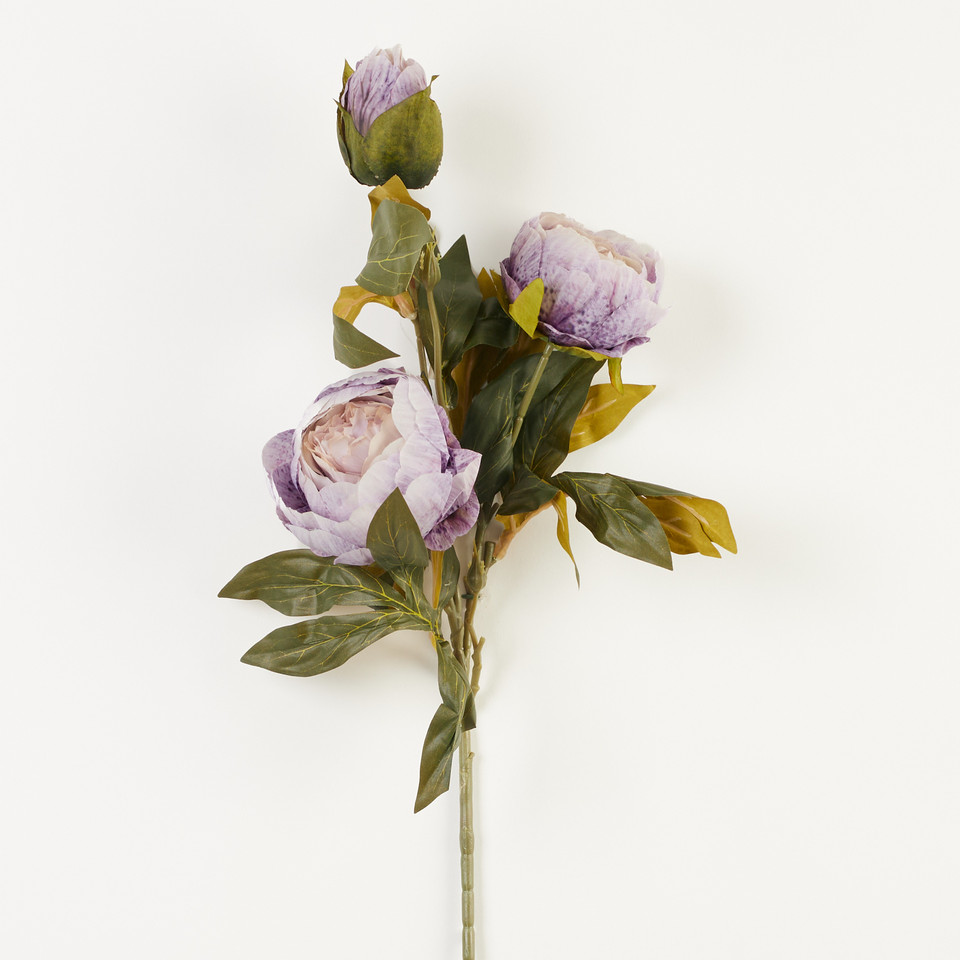 Peonia – gałązka x3, 29 B38-29