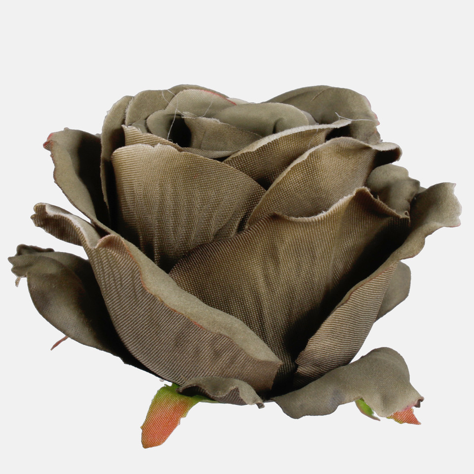 Rose, Autumn Green W697-11