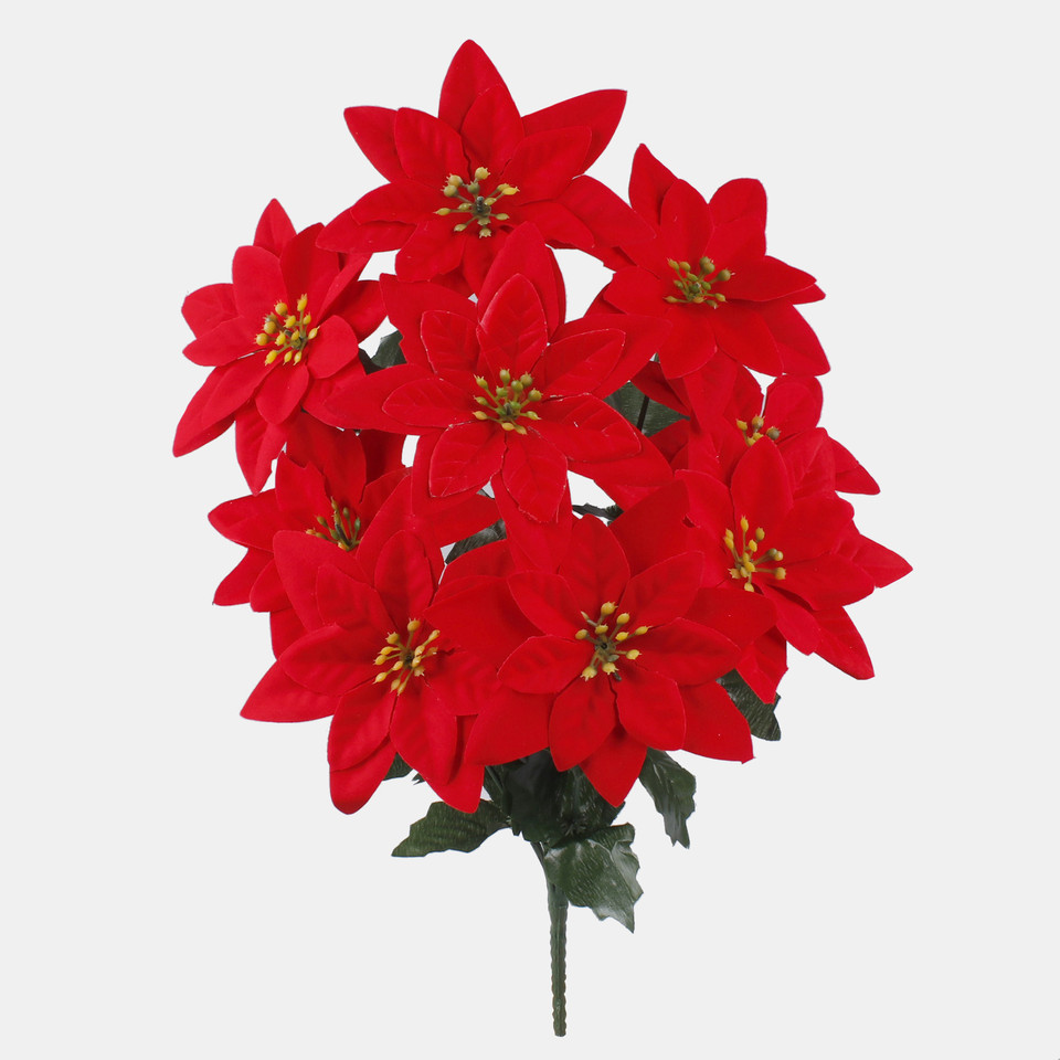 Poinsettia x 9, Red QA300S-01