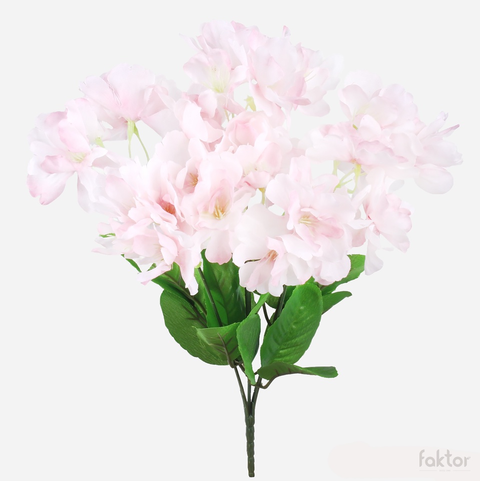Jabłoń x 6, Cream/Pink Q307-50