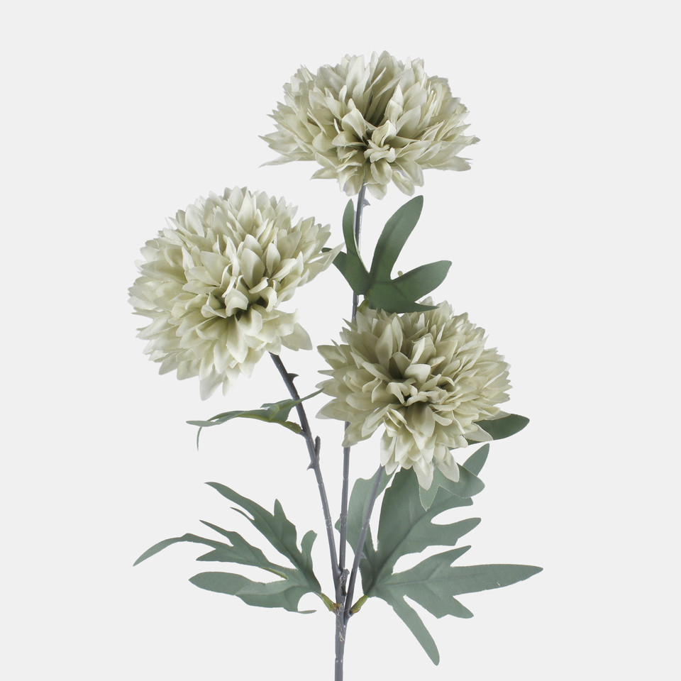 Chrysanthemum x 3, Mix 2 L835-02