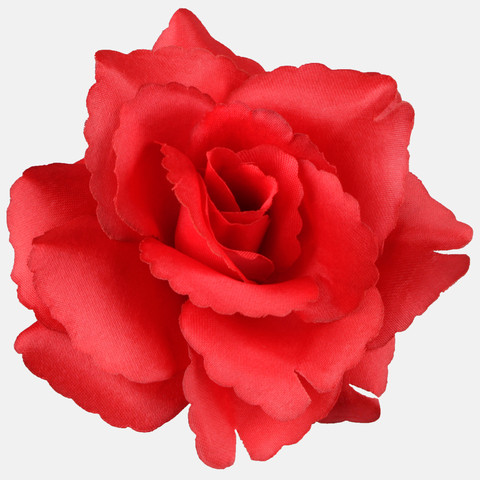 Rose W529